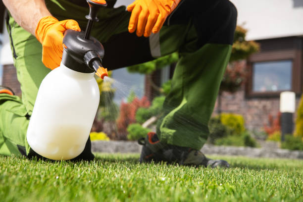 Best Wildlife Control Services  in Montz, LA
