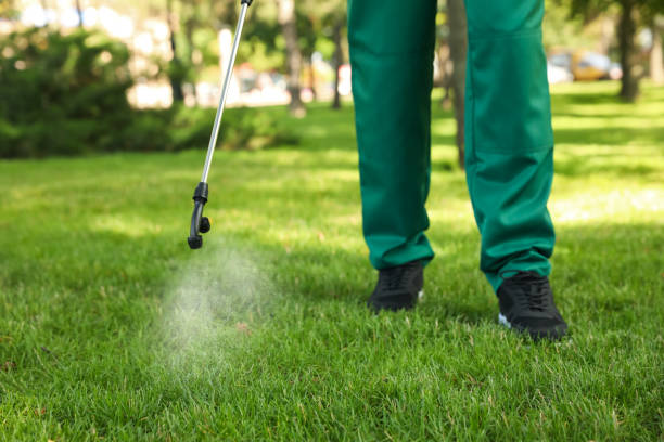 Best Wasp Removal Services  in Montz, LA