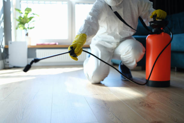 Best Local Pest Control Services  in Montz, LA