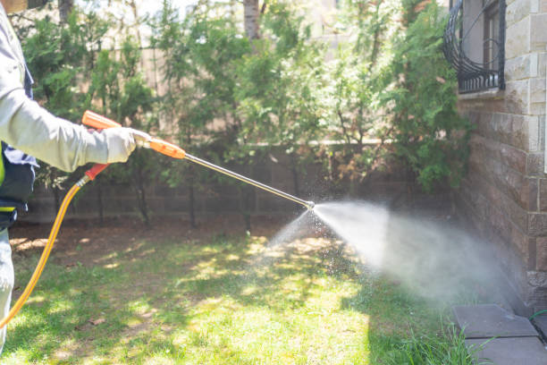 Best Pest Prevention Services  in Montz, LA
