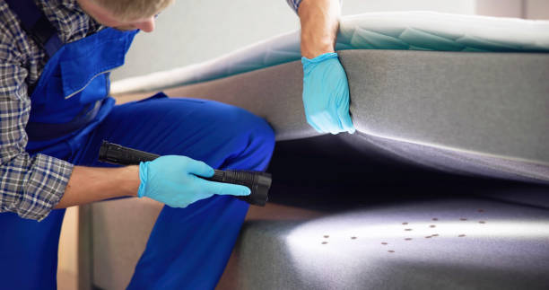 Best Affordable Pest Control Services  in Montz, LA