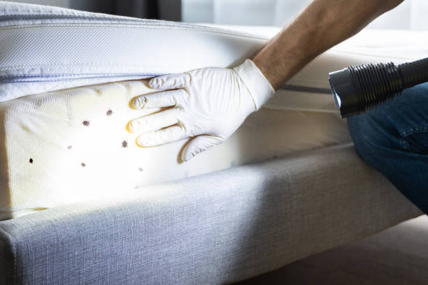 Best Pest Control Near Me  in Montz, LA