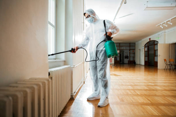 Best Pest Removal Services  in Montz, LA