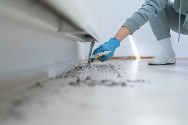 Pest Control Cost in Montz, LA